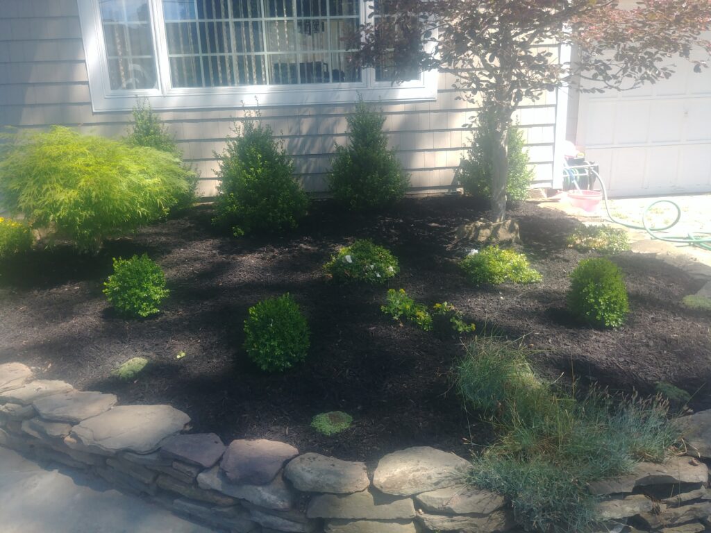 landscaping near me-landscaping ideas-Suffolk -ny